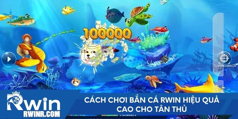 Cách chơi Bắn Cá RWIN hiệu quả cao cho tân thủ